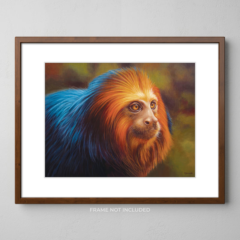 Art Print - Lion Tamarin