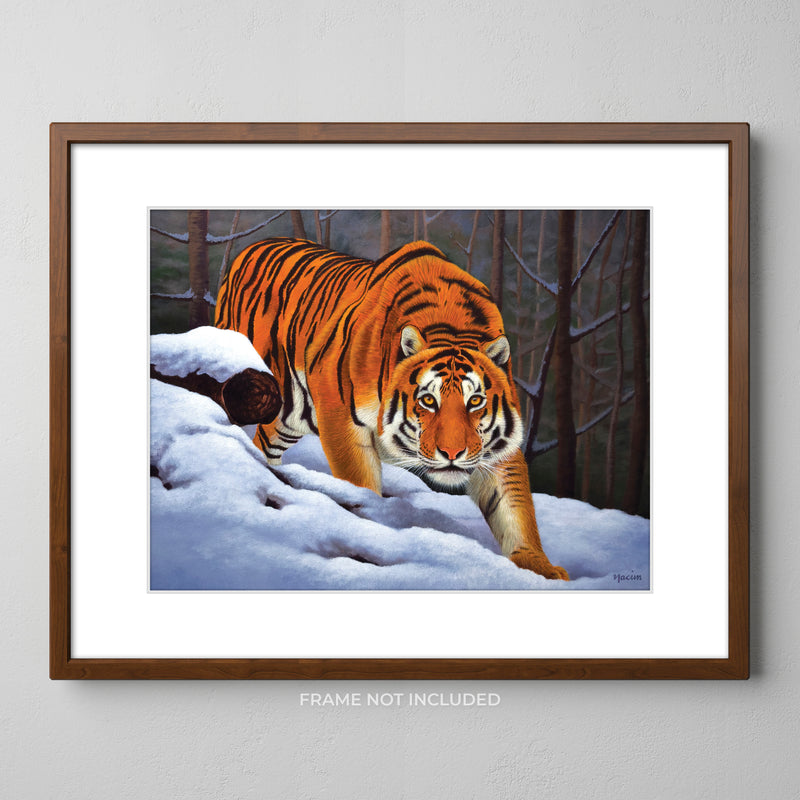 Art Print - Piercing Gaze