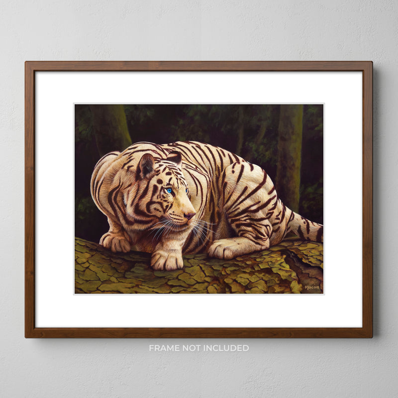 Art Print - Untamed