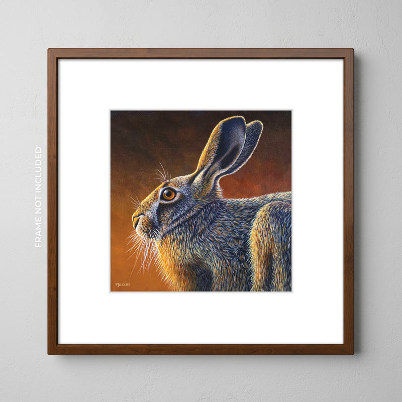 Art Print - Basking In The Sun