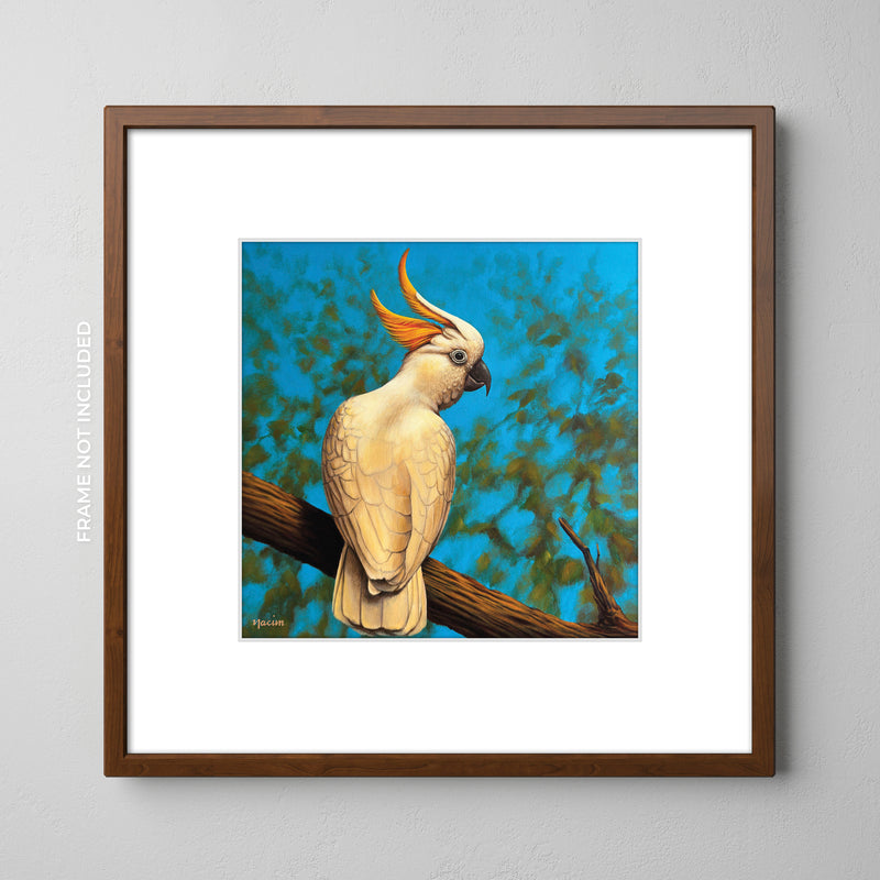 Art Print - Boundless Beauty