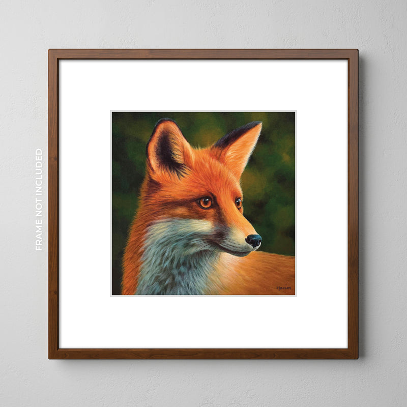 Art Print - Gazing Beyond The Glade