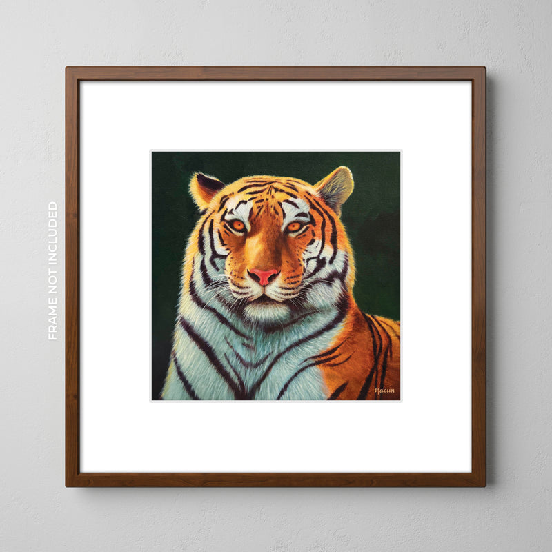Art Print - Golden Gaze