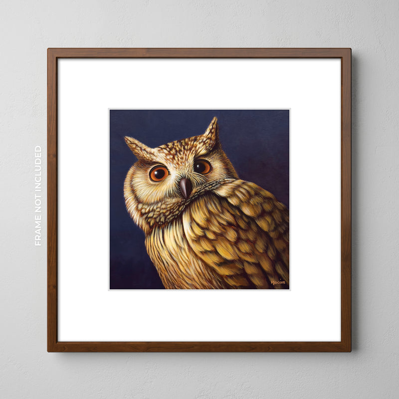 Art Print - Wise Old Owl
