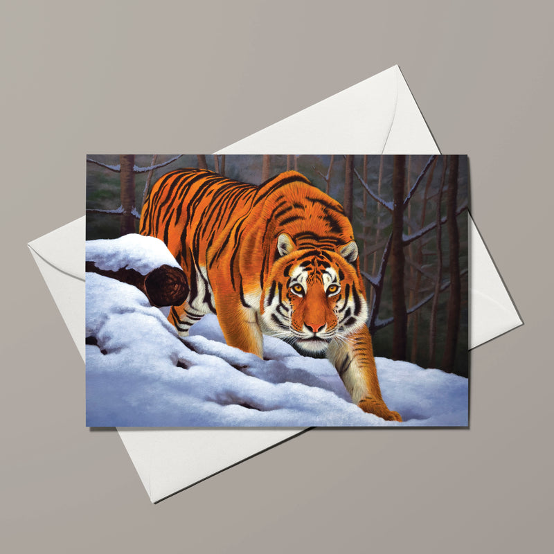 Greeting Card - Piercing Gaze