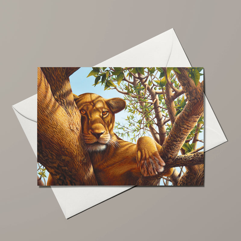 Greeting Card - Resting Lioness