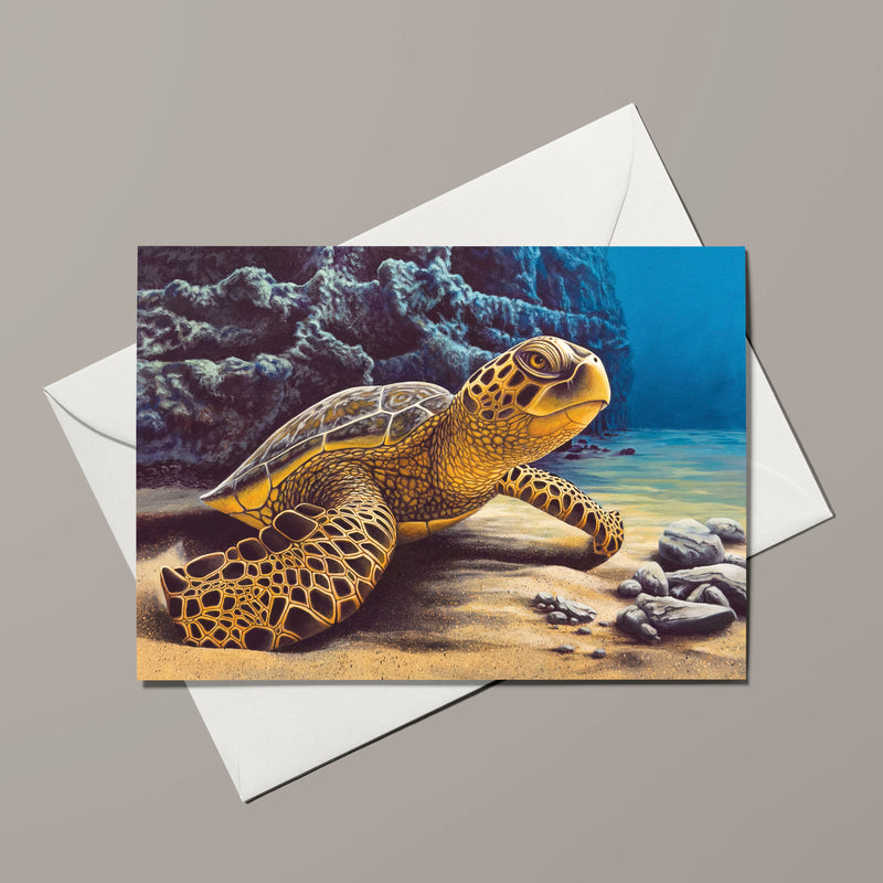 Greeting Card - Sea Turtle