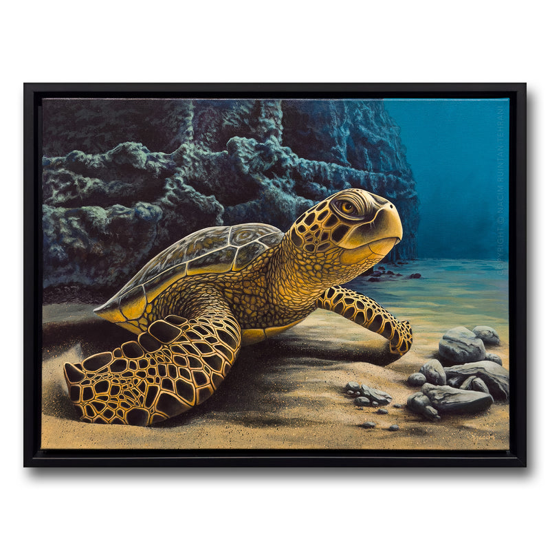 Sea Turtle (framed), original acrylic painting for sale by artist Nacim Ruintan-Tehrani.