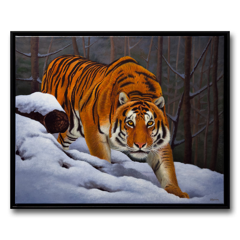 Piercing Gaze (framed), original acrylic painting for sale by artist Nacim Ruintan-Tehrani.