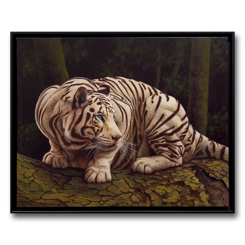 Untamed (framed), original acrylic painting for sale by artist Nacim Ruintan-Tehrani.