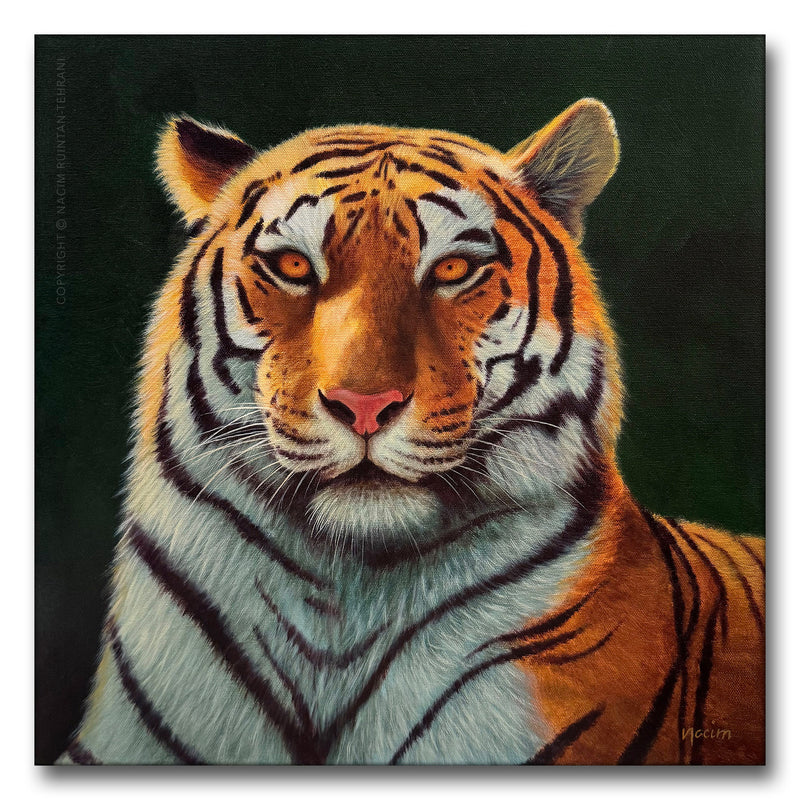 Golden Gaze, original acrylic painting for sale by artist Nacim Ruintan-Tehrani.