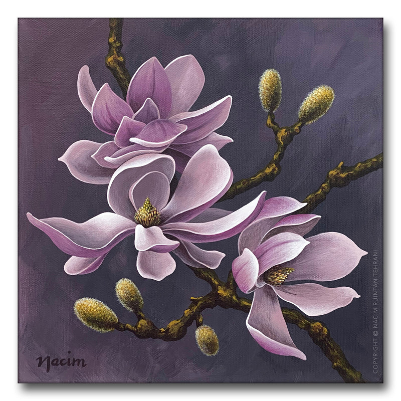 Blooming pink magnolia, original acrylic painting for sale by artist Nacim Ruintan-Tehrani.