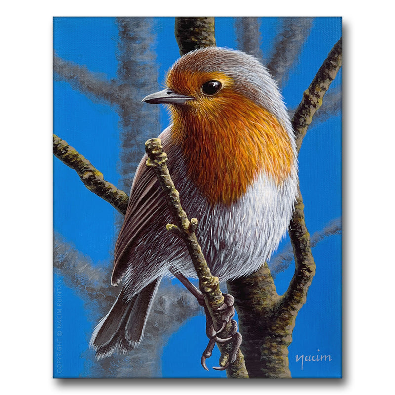European Robin, original acrylic painting for sale by artist Nacim Ruintan-Tehrani.