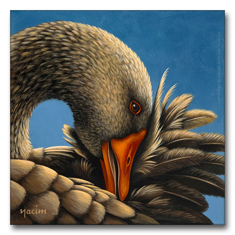 Greylag Goose, original acrylic painting for sale by artist Nacim Ruintan-Tehrani.