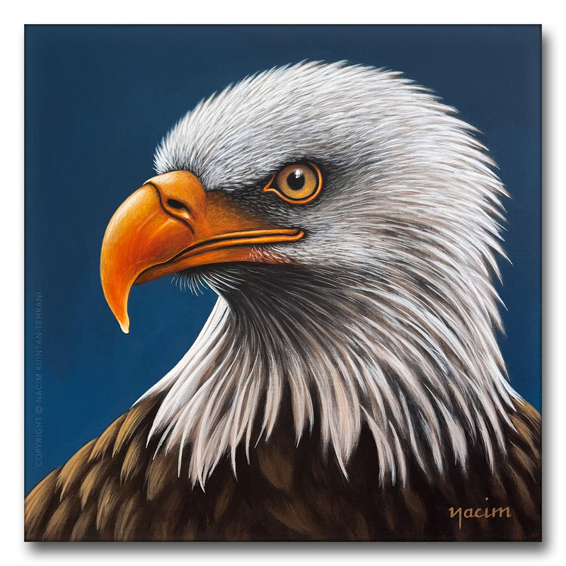 Bald Eagle, original acrylic painting for sale by artist Nacim Ruintan-Tehrani.